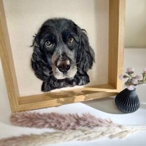 1 Pet - 9"x 9" Shadow Box